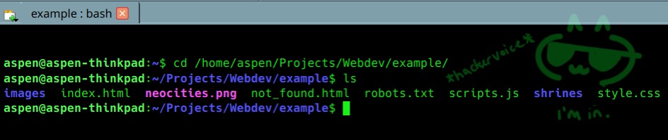 A screenshot of the terminal.